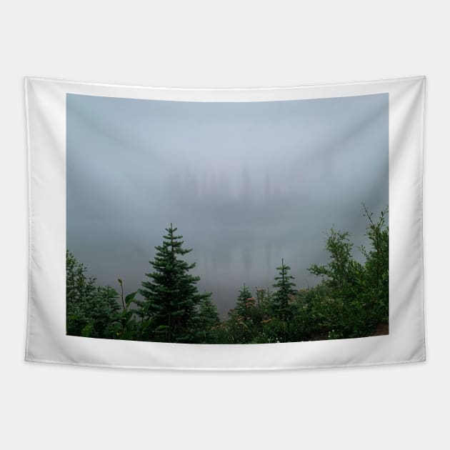 Fog at Mt Rainier Tapestry by Ckauzmann