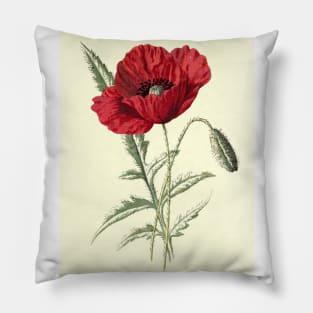 Red flowers poppy Pillow