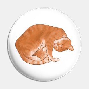 Cute Ginger Cat Cuddles Pin
