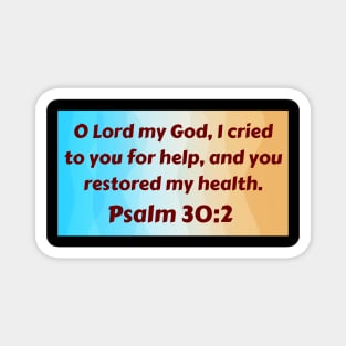 Bible Verse Psalm 30:2 Magnet