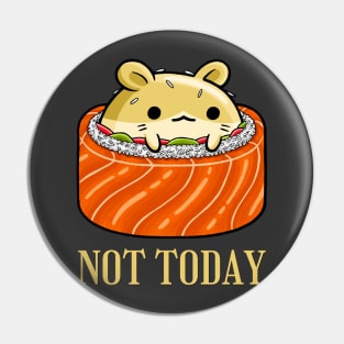 Lazy Hamster Nope not Today funny sarcastic messages sayings and quotes Pin