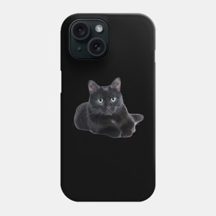 Lazy Cat Phone Case