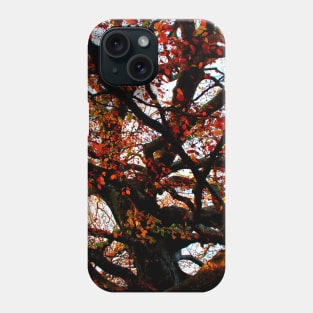 Bizarrely curved and interwoven branches of a beech tree with red leaves in Canfaito forest Phone Case