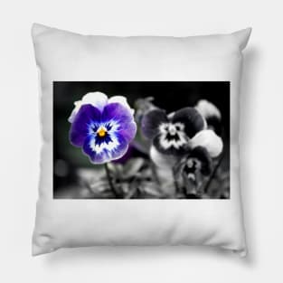 Blue Pansy Pansies Violas Summer Flowers Pillow