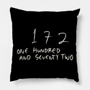 172 Pillow