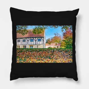 Museum gardens, York, UK in Autumn Pillow