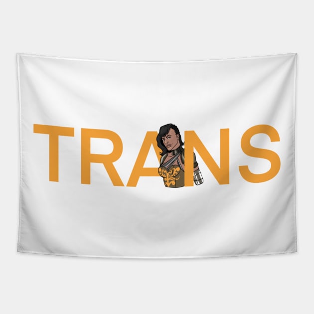 Trans Strong Tapestry by ChangoATX