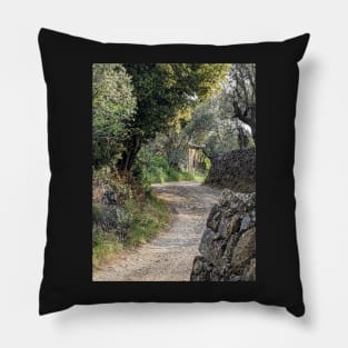 Country Road Pillow