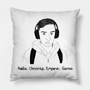 Atypical Pillow