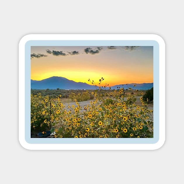 Sunrise and Sunflowers in New Mexico Magnet by Debra Martz