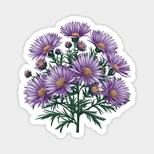 Purple Aster Magnet