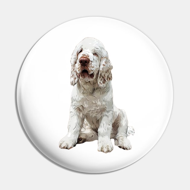 Clumber Spaniel Love that face! Pin by ElegantCat