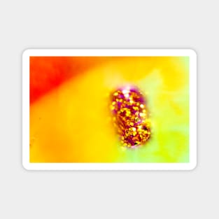 Orange and Yellow Oil and Water with Sparkles Magnet