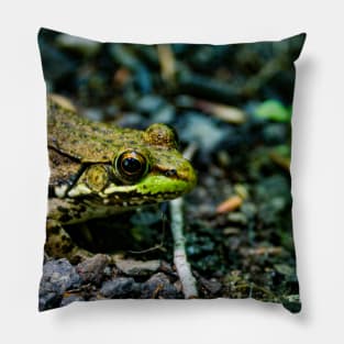 Frog Pillow