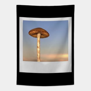 Mushroom Photograph Fungi Shroom Picture Tapestry