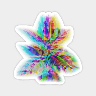 Psychedelic Rainbow Tineke Magnet