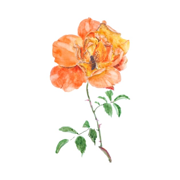 orange rose and a busy bee by colorandcolor