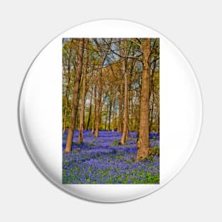 Bluebell Woods Greys Court Oxfordshire England Pin