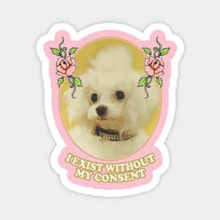 I Exist Without My Consent - Nihilist Poodle Magnet