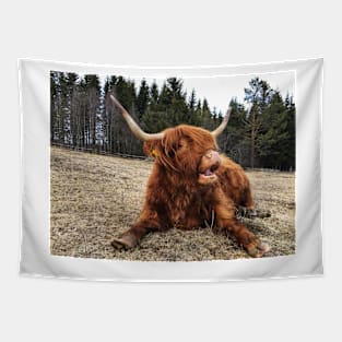 Scottish Highland Cattle Cow 2363 Tapestry