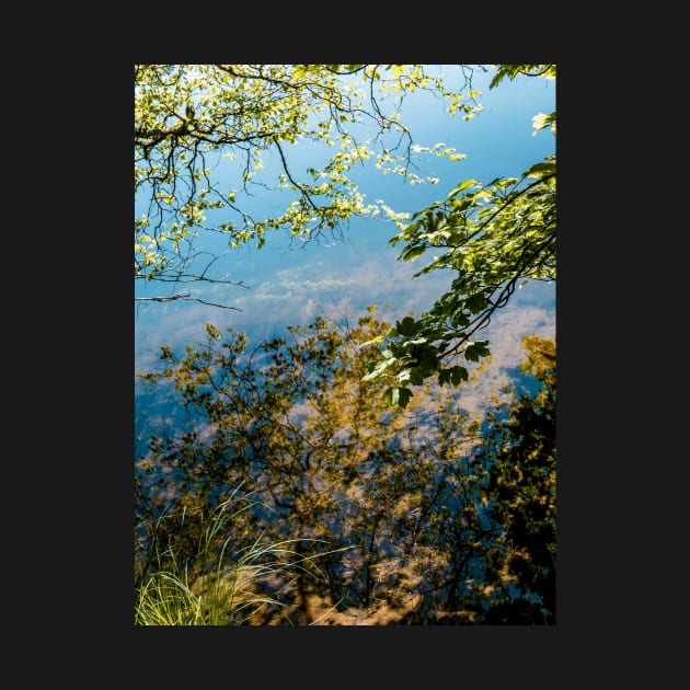 Lake District 2018 by nickbarber