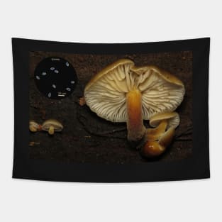 Flammulina velutipes (velvet foot mushroom) Tapestry