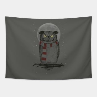 Winter owl Tapestry