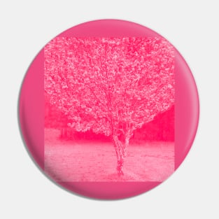 Cherry Blossoms Japanese Cherry Tree Pin