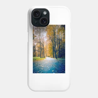 A path through the park in the colors of golden Polish autumn Phone Case