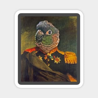 Parrot Miliary Portrait Magnet