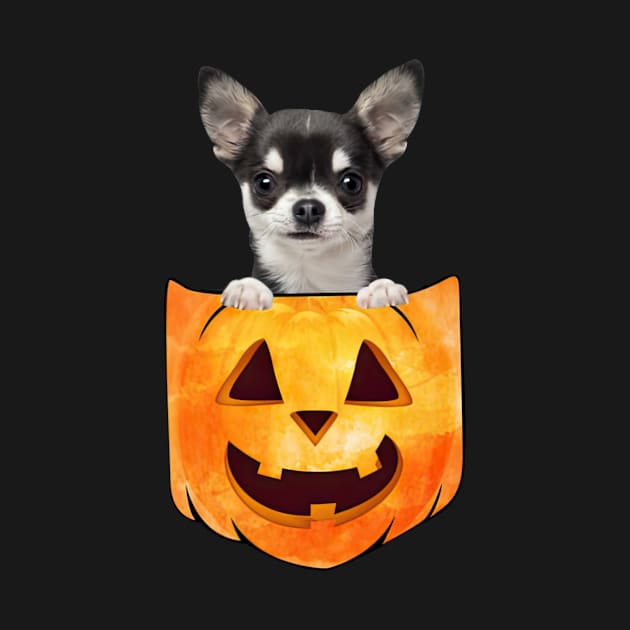 Black Chihuahua Dog In Pumpkin Pocket Halloween by nakaahikithuy