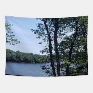 Lake Nokomis 1 Tapestry