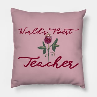 Worlds Best Teacher Pillow