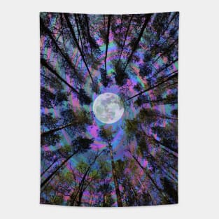 Moon Swirl Tapestry