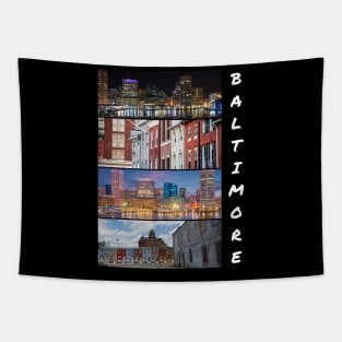 BALTIMORE CITY MARYLAND CITYSCAPE DESIGN Tapestry
