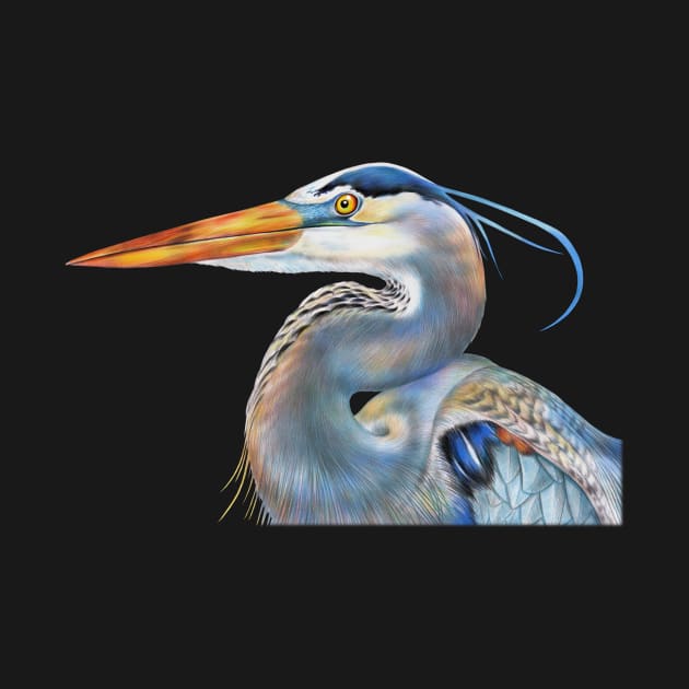 Blue Heron by Tim Jeffs Art