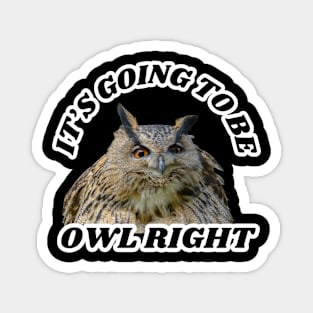 Owl Right Magnet