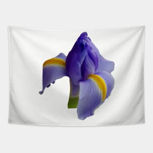 Blue Iris Floral Photo Tapestry