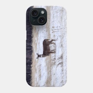 Whitetailed deer in a field. Phone Case