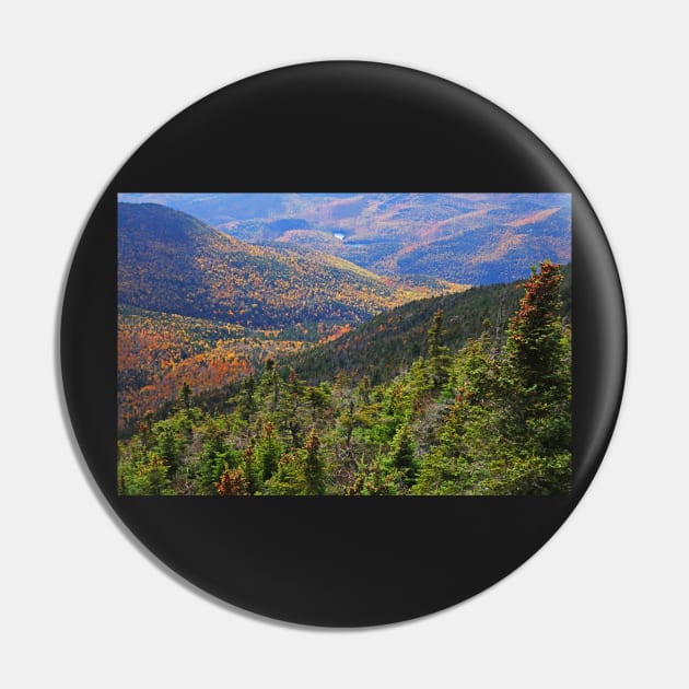 Foliage Covered Mountainscape Keene Valley Adirondacks New York Pin by WayneOxfordPh