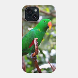 Stunning Eclectus Parrot on Branch Phone Case