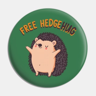 Cute hedgehog loves hugs Pin