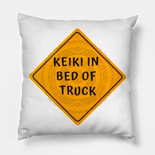 Keiki in Bed of Truck Pillow