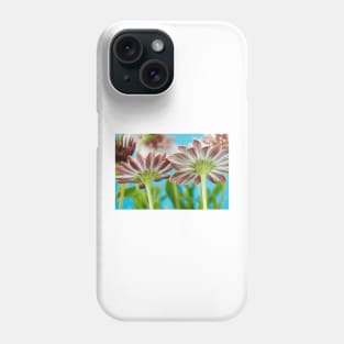 Osteospermum  Flower Power Double Series  Double White Bronze Phone Case