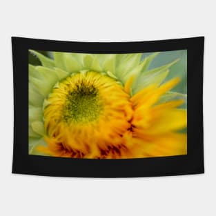 sunflower morph Tapestry