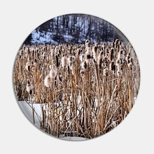 Bull Rushes in Winter. Pin