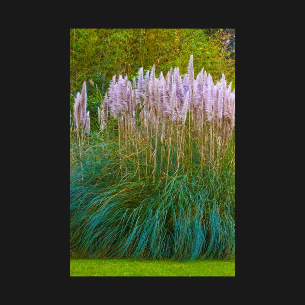 Gulbenkian Museum garden. by terezadelpilar