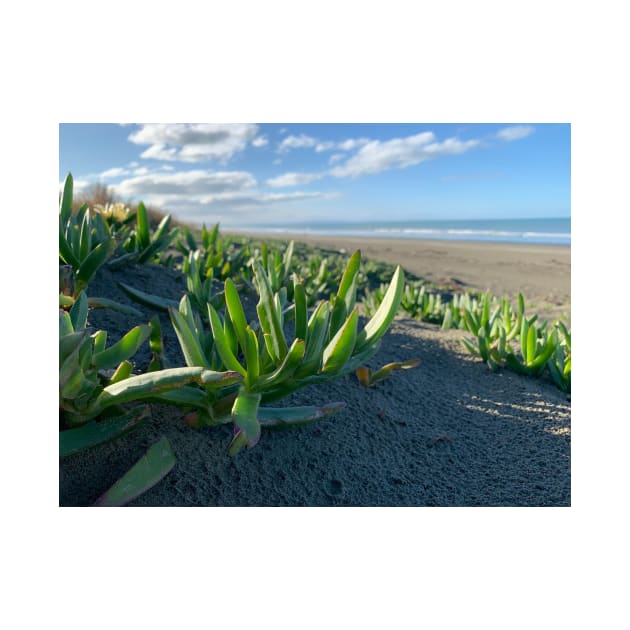 New Brighton Beach by TerraDumont