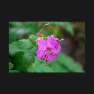 Purple flower T-Shirt