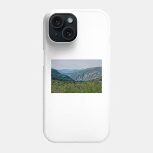 850_9234 Phone Case